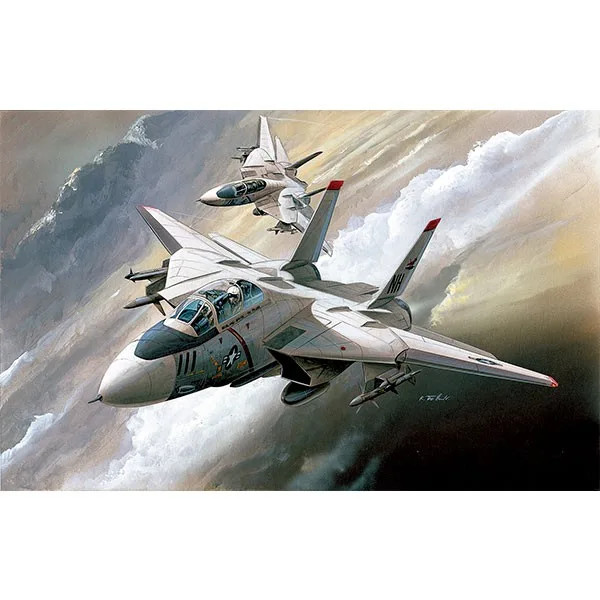 Academy Avión F-14A 1/144