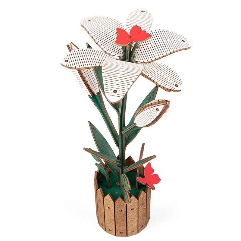 EWA Lily 70 pieces